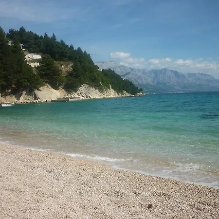 Romana Mimice